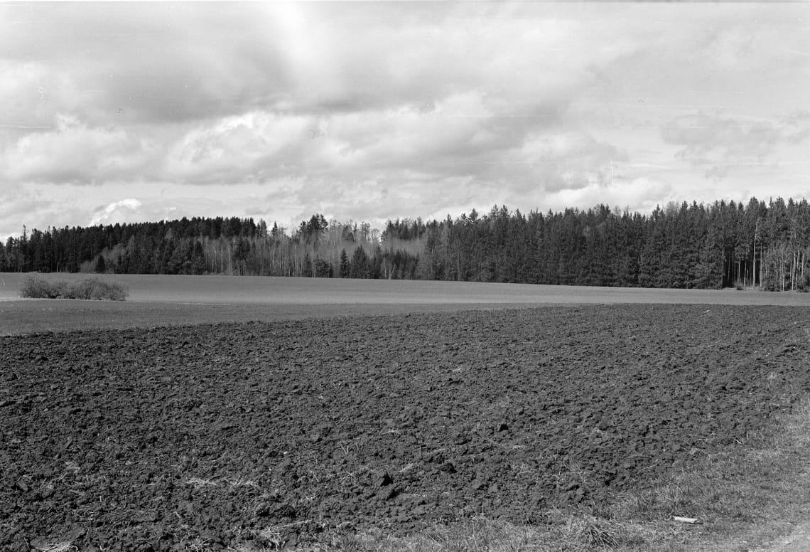 0033 - Schwarzwald