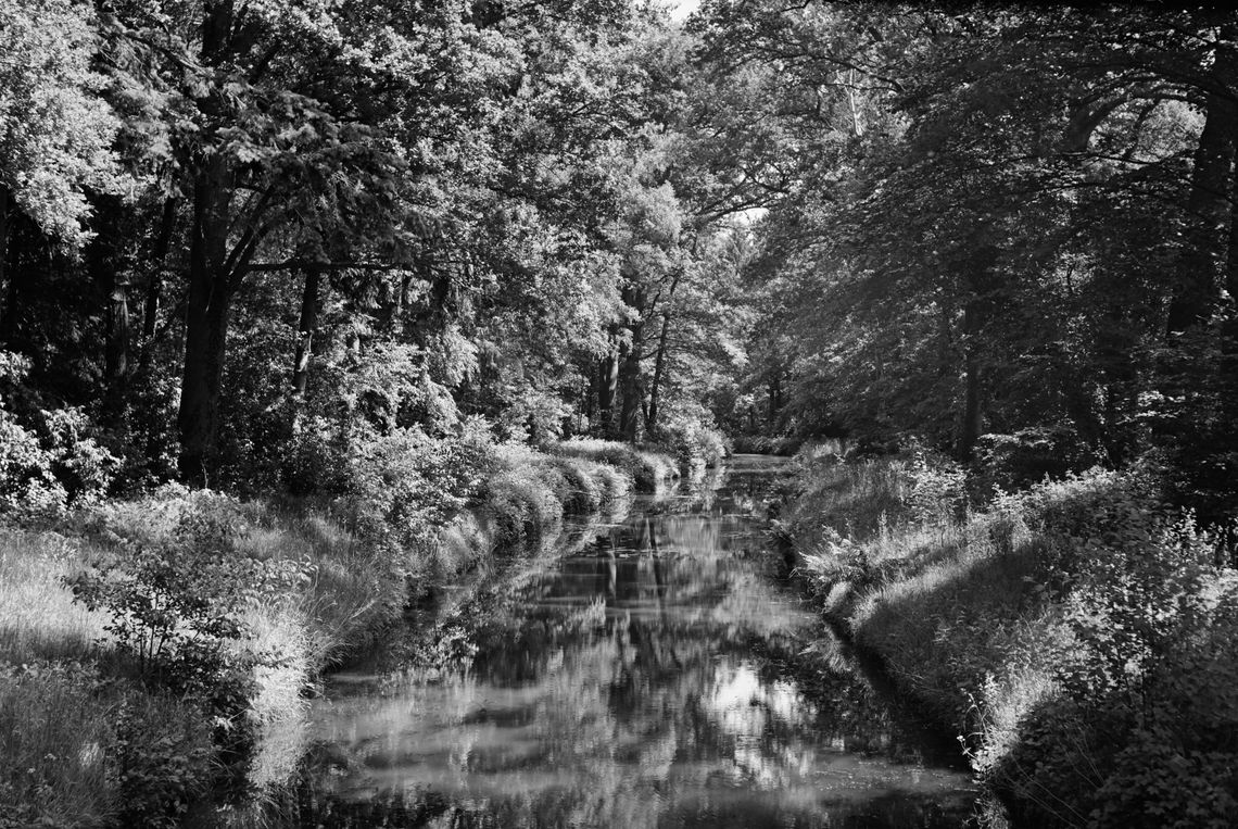 0081 - Moorgraben mit Grünfilter
