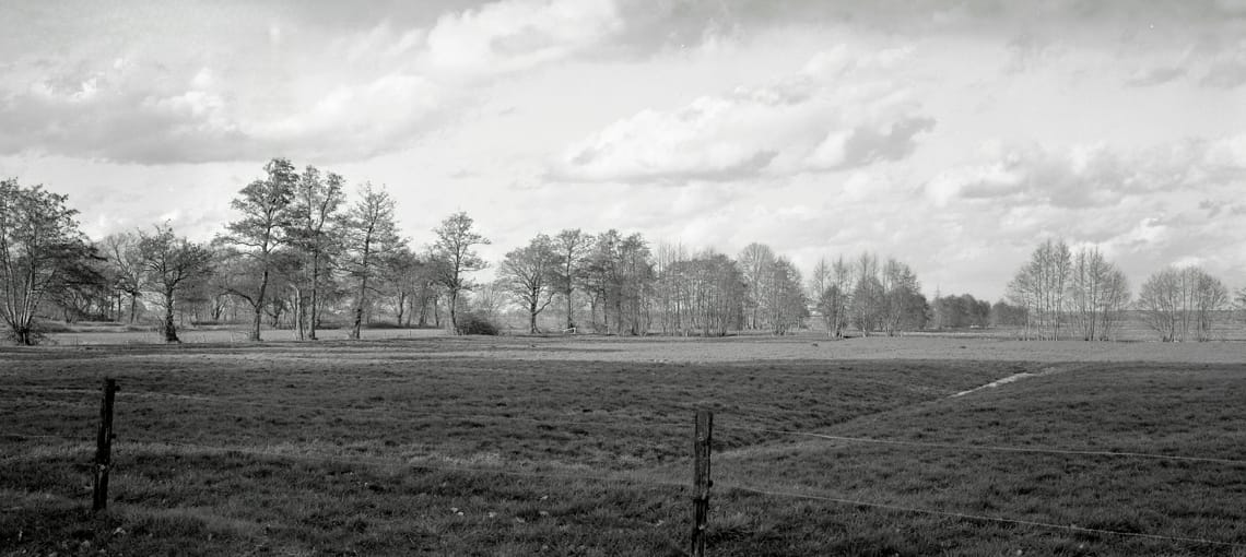 0005 - Panorama im Frühjahr