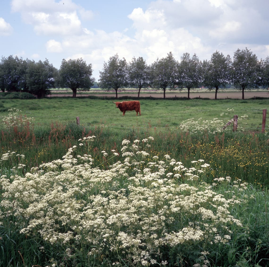 0173 Galloway
