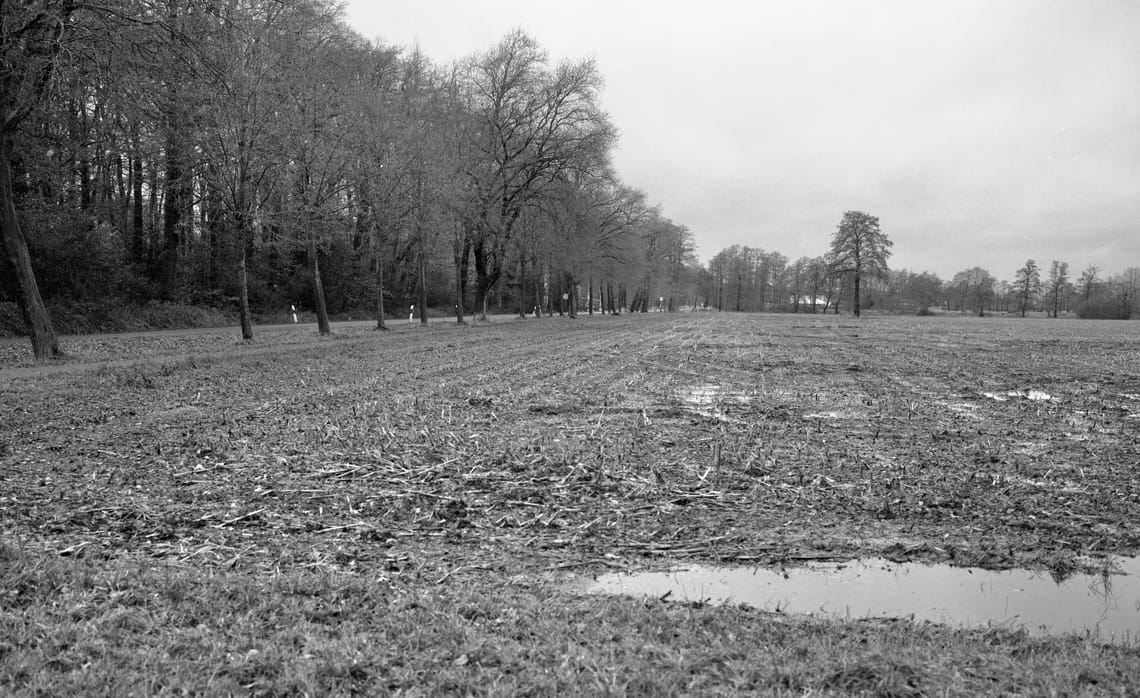 0197 Landwirtschaftliche Tristessness
