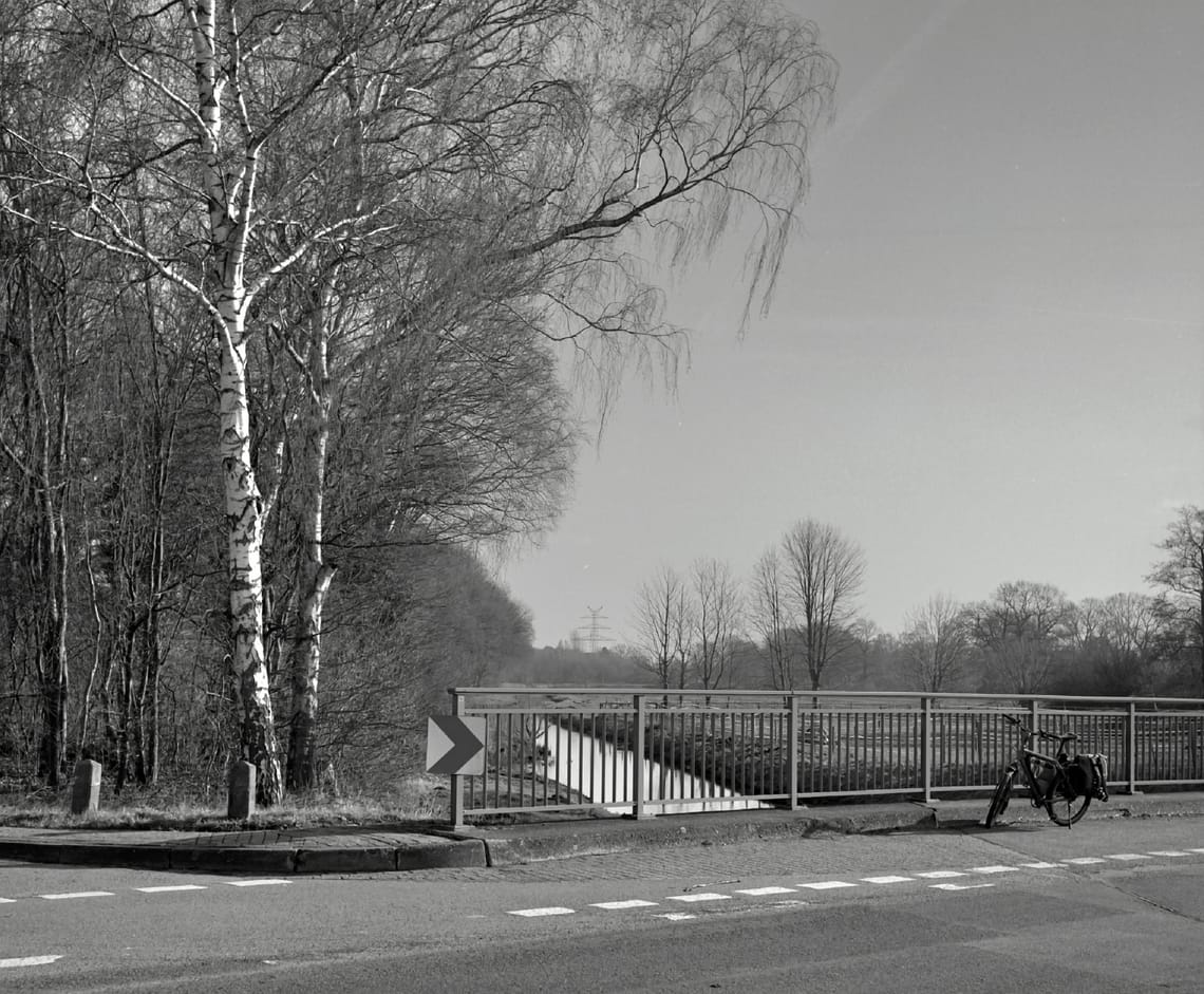 0211 Birkenleuchten