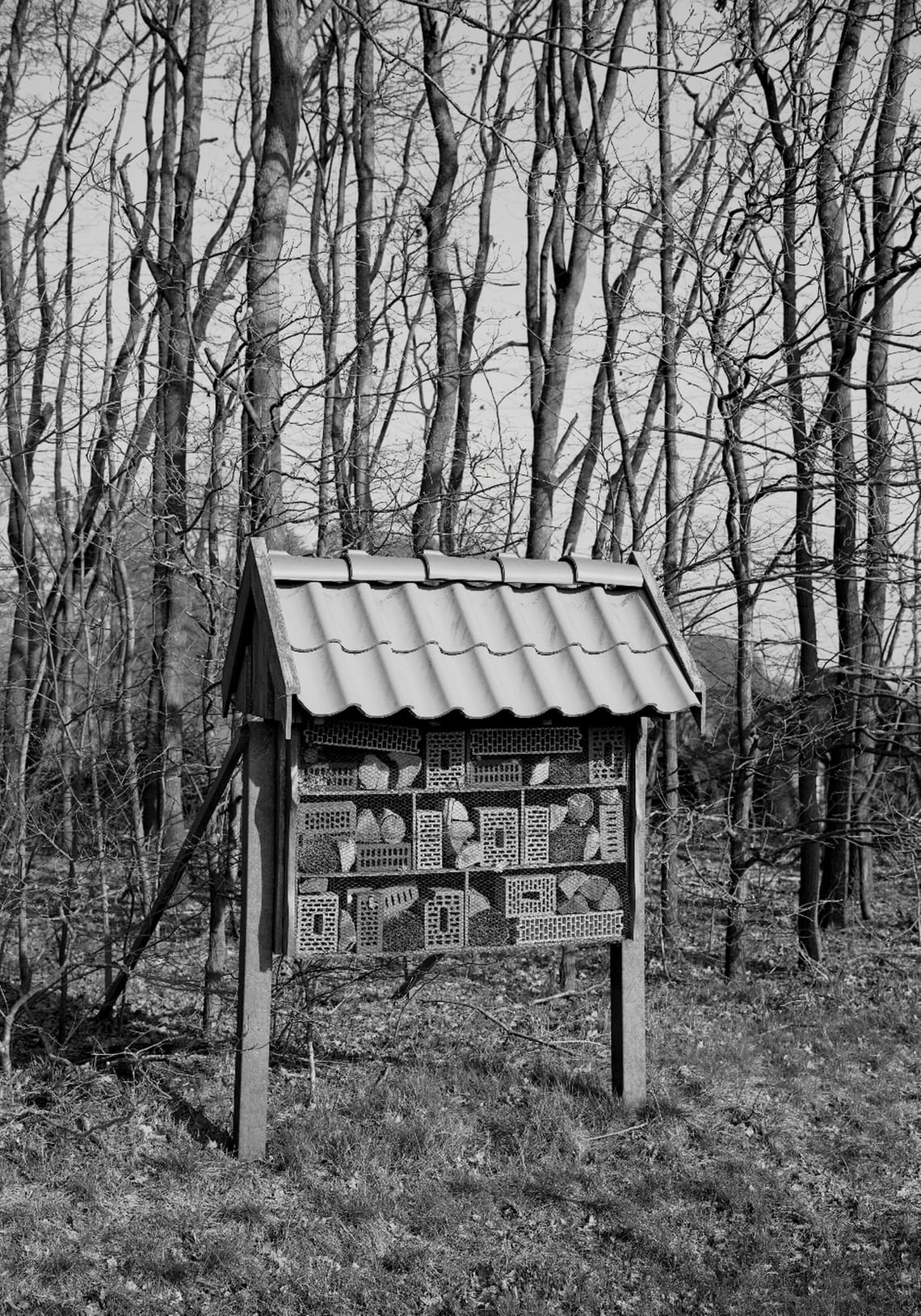0271 leerstehender Wohnraum