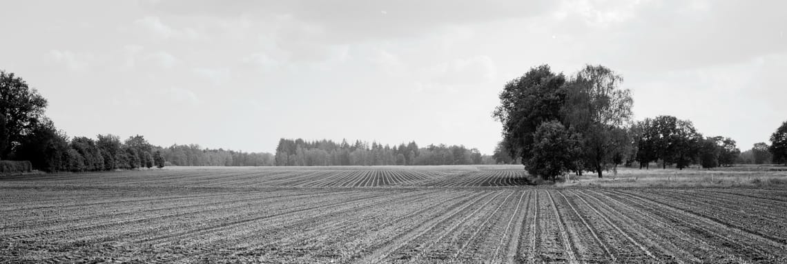 0333 Strukturierte Landwirtschaft