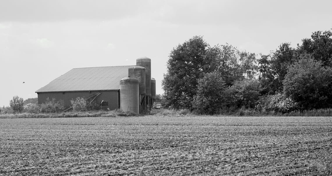 0334 Landwirtschaft bei Gyhum