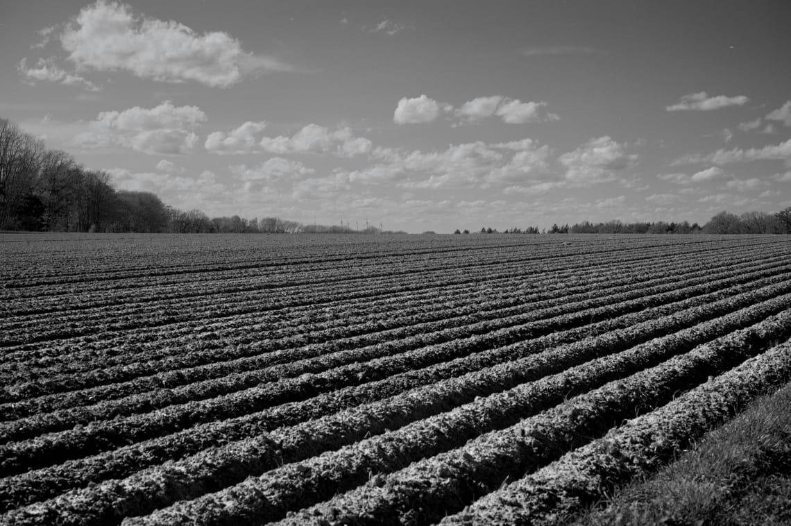 0347 Gyhum Ackerbau
