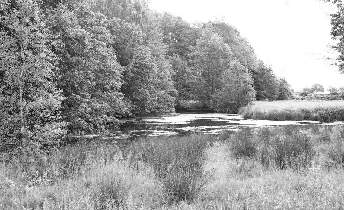 0353 Gyhum Teich