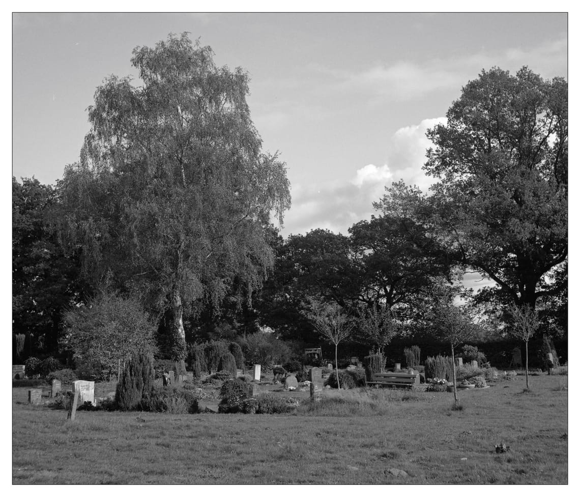 0389 Friedhof Blick