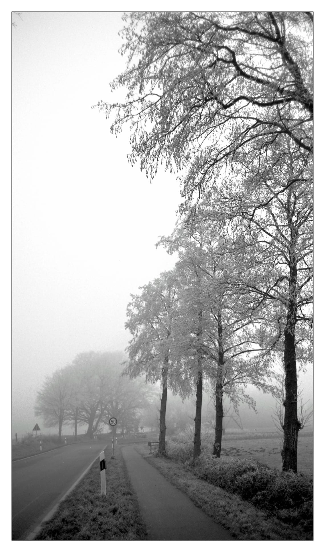 0426 Nebelstraße