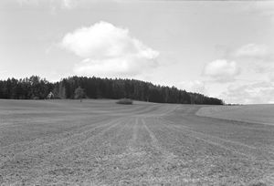 0034 - Schwarzwald