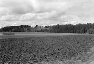 0033 - Schwarzwald