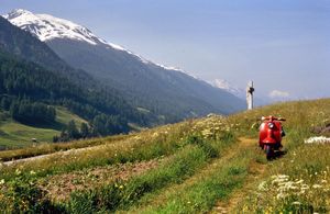 0096 - Wallis 1