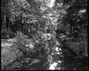 0080 - Moorgraben ohne Filter