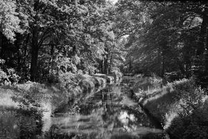 0081 - Moorgraben mit Grünfilter