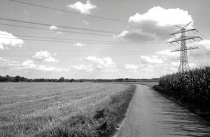0074 - Mais und Strom