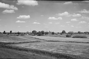 0035 - Landschaft