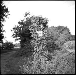 0130 Hopfen