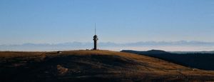 0116 Feldberg im Schwarzwald