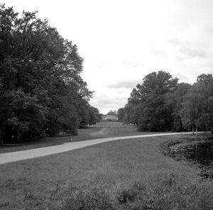 0185 Parklandschaft