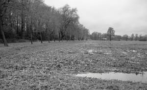 0197 Landwirtschaftliche Tristessness