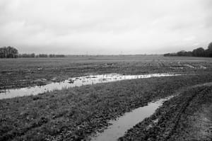 0198 Landwirtschaftliche Tristessness