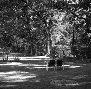 0199 Garten in der Morgensonne