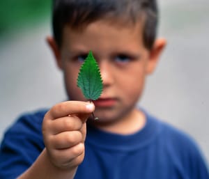 0174 Kind mit Blatt