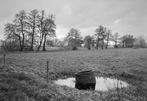 0241 verlassene Kuhweide im Winter