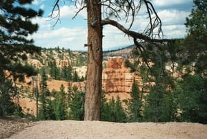 0204 USA Bryce-Canyon