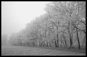 0237 Nebel und Reif