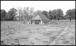 0252 Viehweide