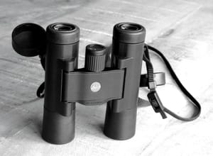 0310 Ultravid 10x25