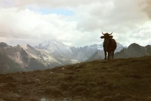 0314 Im Montafon