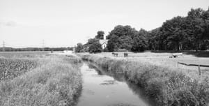 0337 ADOX CMS 20 II
