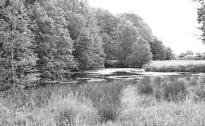 0353 Gyhum Teich