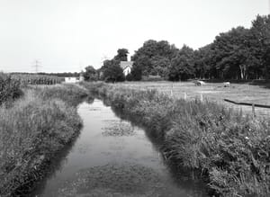 0367 Pferdewiese