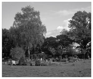 0389 Friedhof Blick