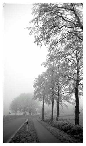 0426 Nebelstraße