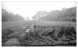 0418 Nebel und Kälte auf dem Land