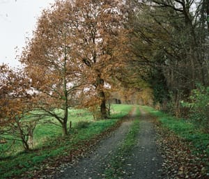0431 Weg